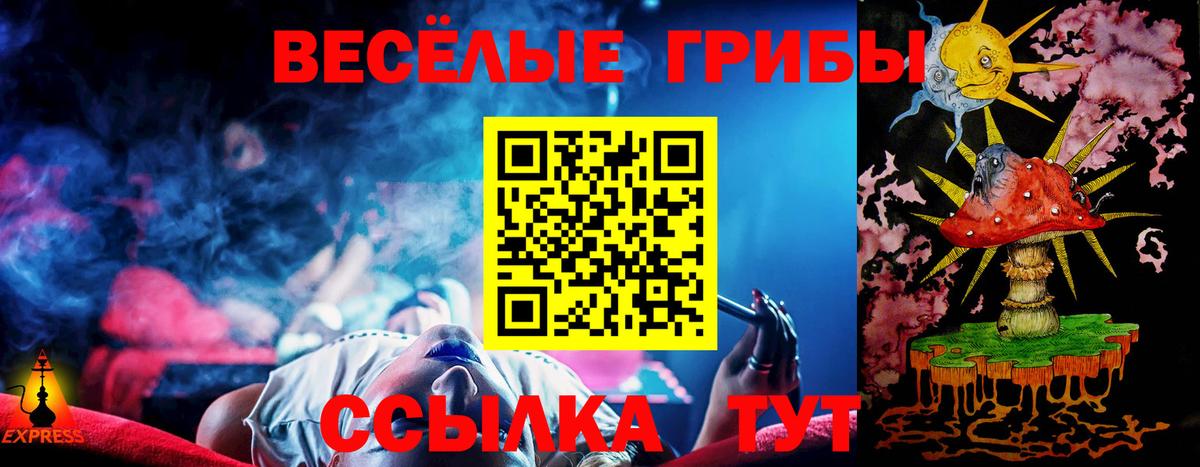 Псилоцибиновые грибы Psilocybine cubensis  Вход с VPN  Шадринск 